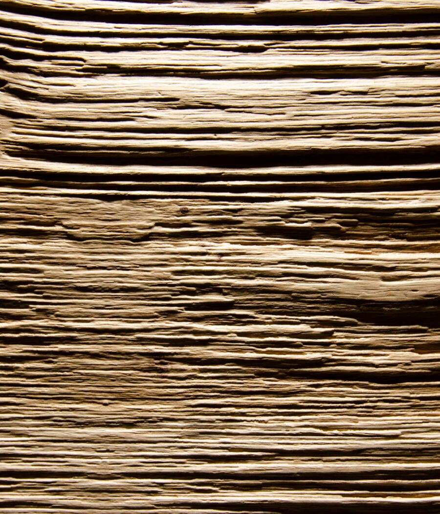 Tragni Holz in Form 2468 SPALT Rovere